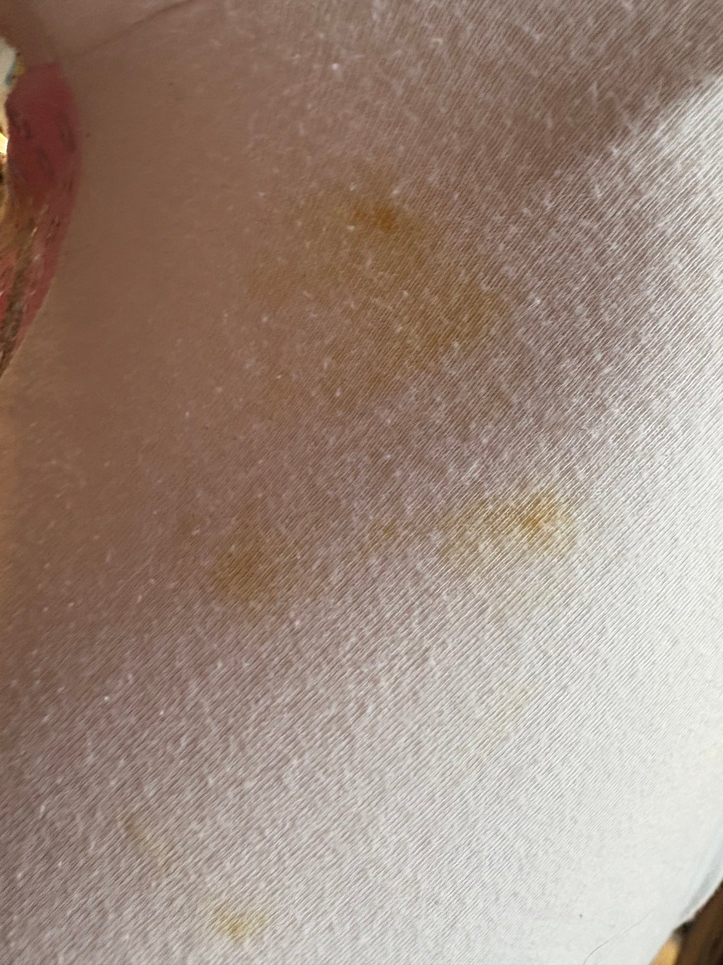 Y2K Bobby Jack Long-Sleeved Hooded Top